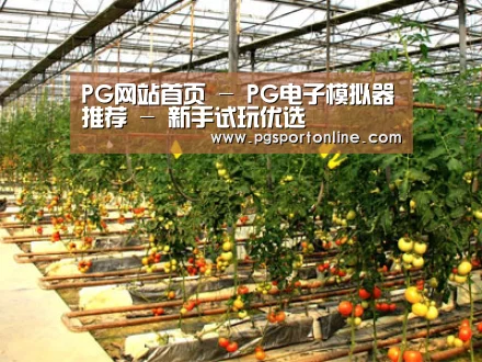 种植基地二(图1)